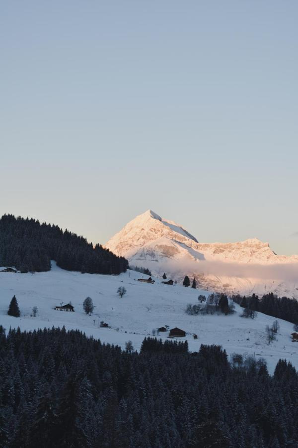 Chez Nonna - Charmant Demi-Chalet A La Montagne Notre-Dame-de-Bellecombe Zewnętrze zdjęcie